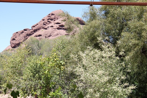 Scenic view of land against clear sky