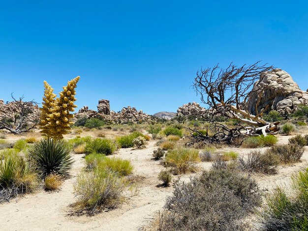 Scenic view of land against clear sky