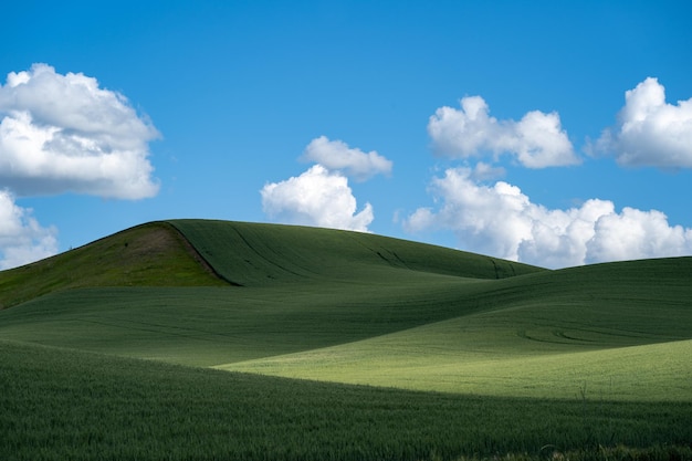 Foto vista panoramica della terra contro il cielo