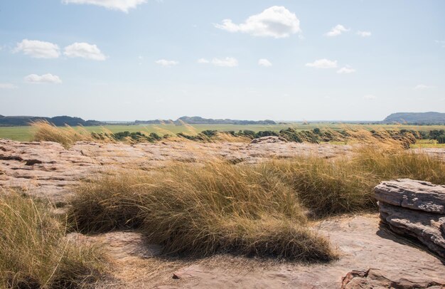 Photo scenic view of land against sky