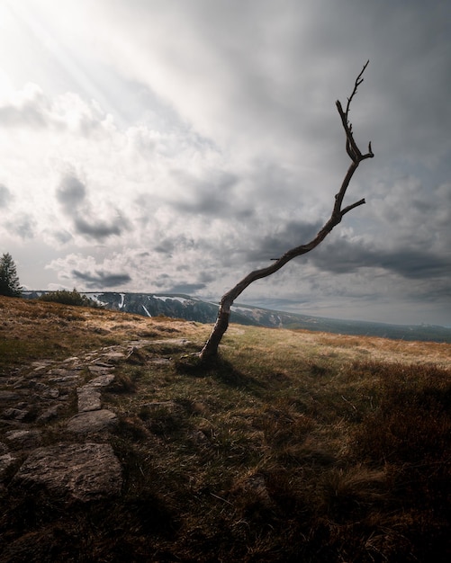 Foto vista panoramica della terra contro il cielo