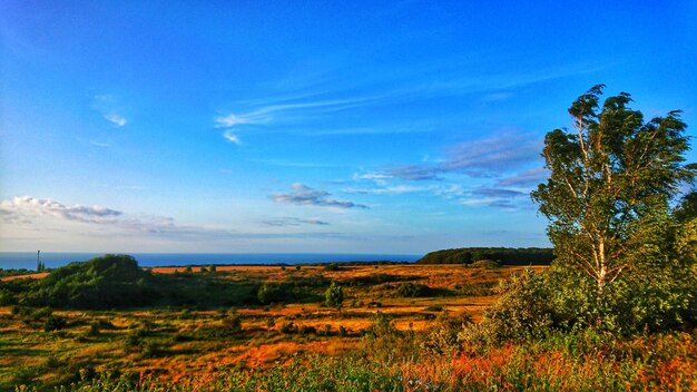 Scenic view of land against sky