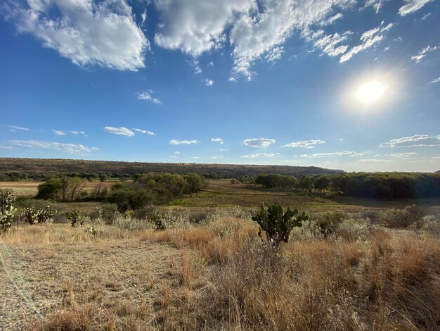 Scenic view of land against sky