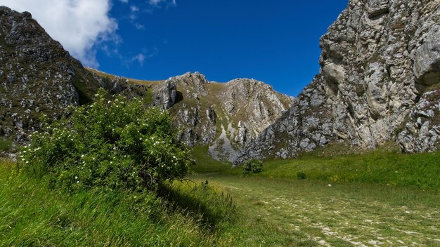 Scenic view of land against sky