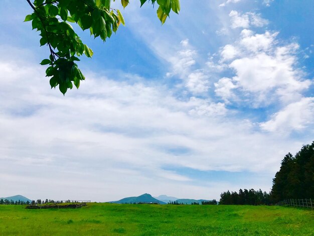 Scenic view of land against sky