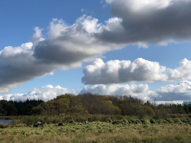 Photo scenic view of land against sky