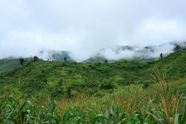 Scenic view of land against sky