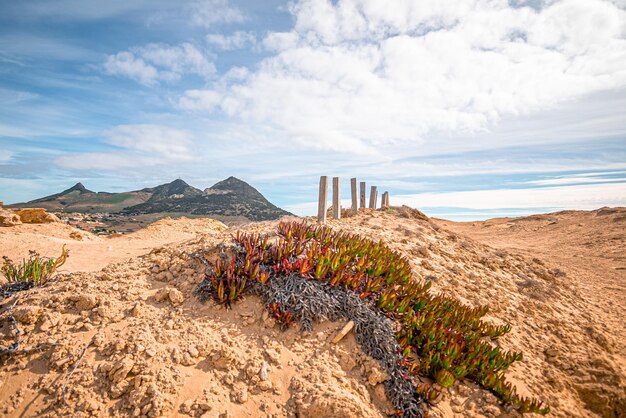 Foto vista panoramica della terra contro il cielo