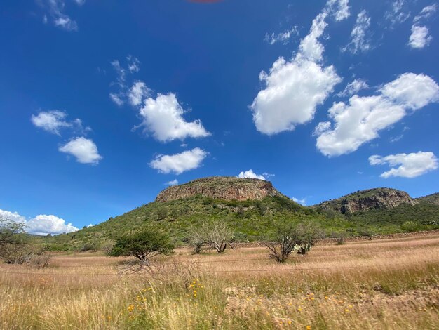 Scenic view of land against sky