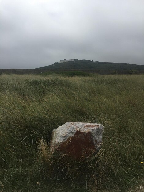 Photo scenic view of land against sky