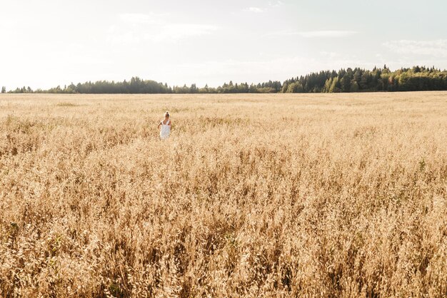 Photo scenic view of land against sky