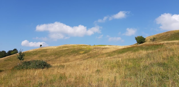 Scenic view of land against sky