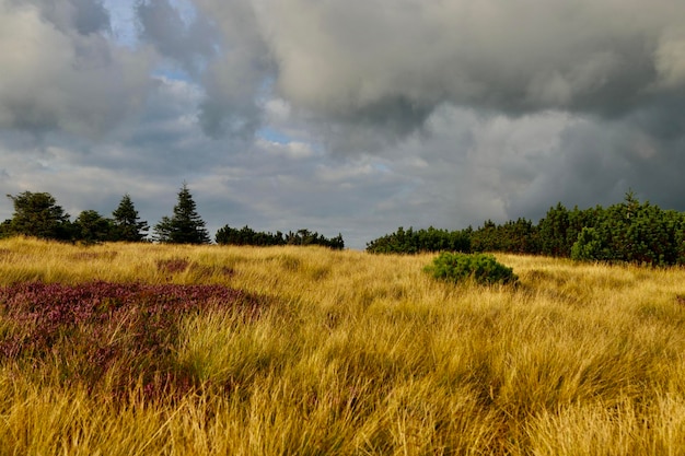 Photo scenic view of land against sky