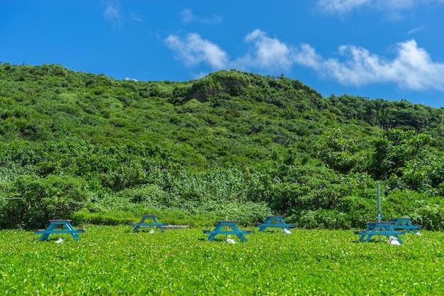 Photo scenic view of land and trees against sky