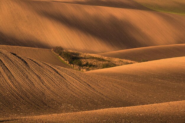 Scenic view of land