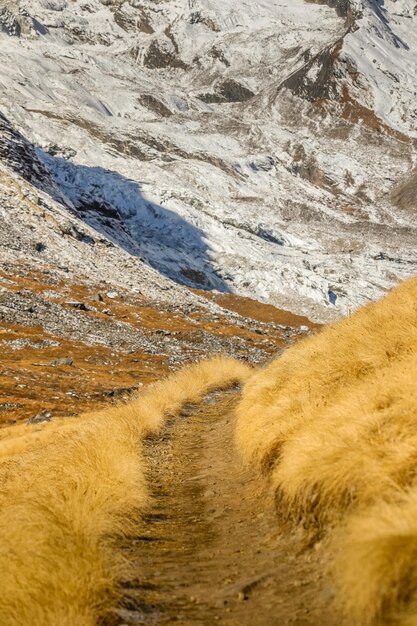 Scenic view of land