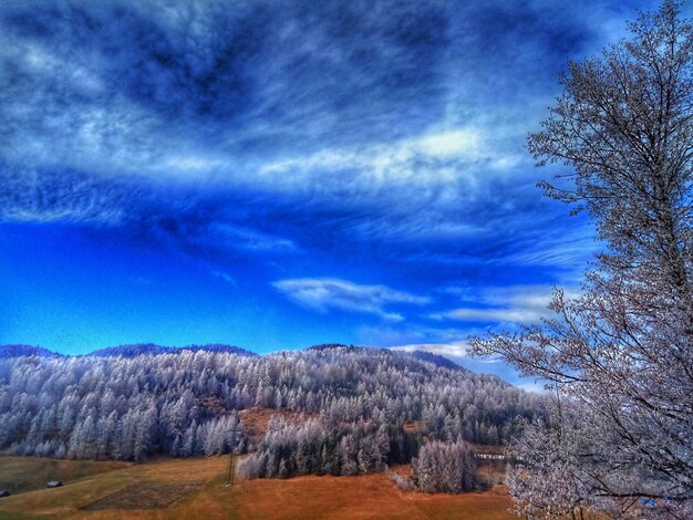 Scenic view of landscape against blue sky during winter