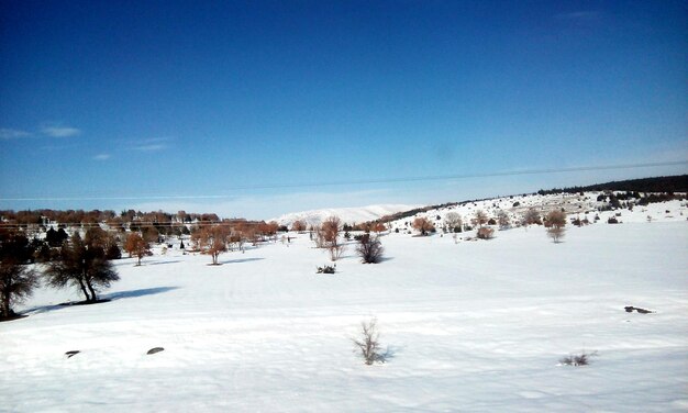 Scenic view of landscape against blue sky during winter