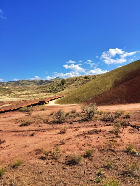 Scenic view of landscape against blue sky