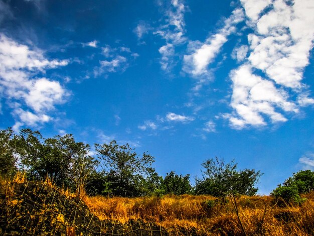 Scenic view of landscape against blue sky