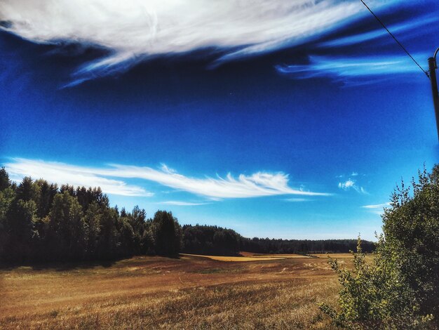 Scenic view of landscape against blue sky