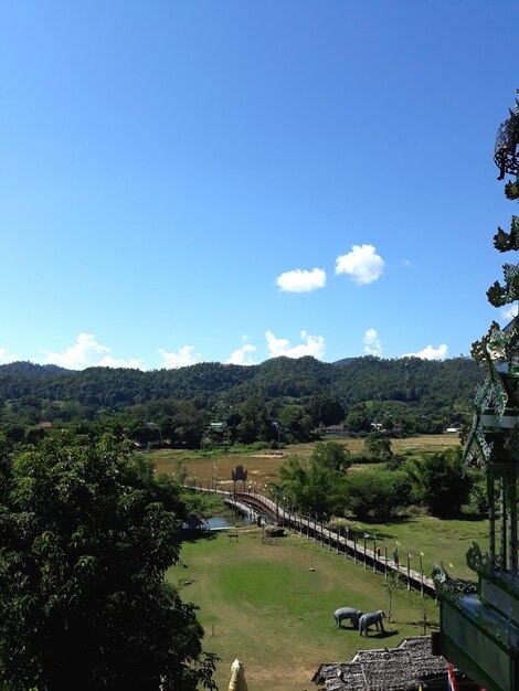 Scenic view of landscape against blue sky