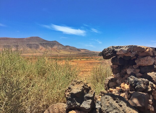 Scenic view of landscape against blue sky