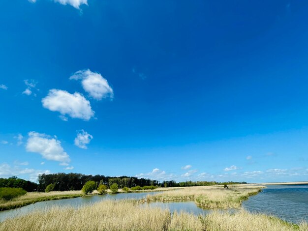 Scenic view of landscape against blue sky