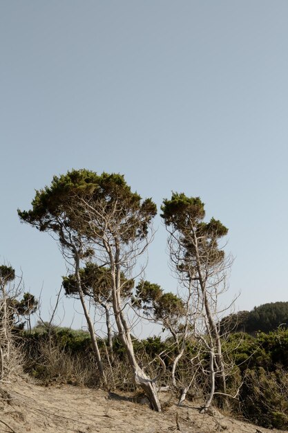 Vista panoramica del paesaggio contro il cielo blu