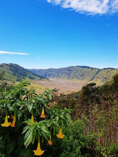 Scenic view of landscape against blue sky