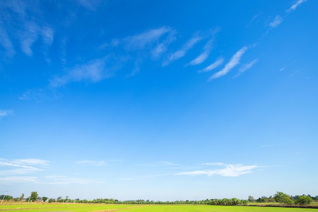 Photo scenic view of landscape against blue sky