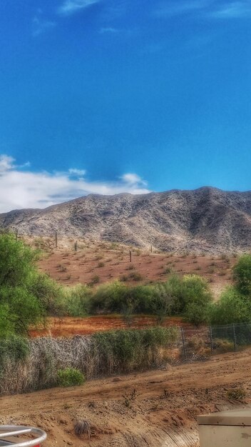 Scenic view of landscape against blue sky