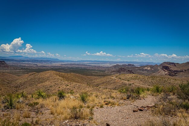 Scenic view of landscape against blue sky