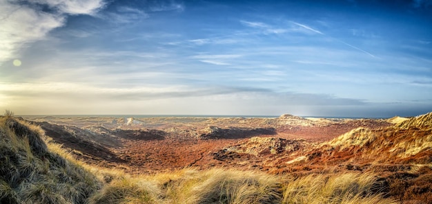 Scenic view of landscape against blue sky