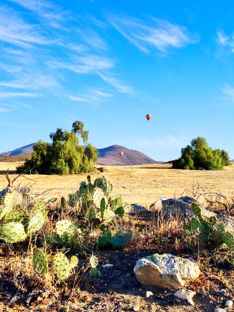 Scenic view of landscape against blue sky