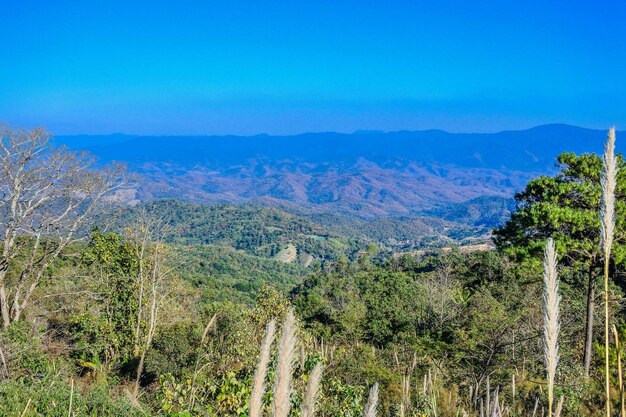 Scenic view of landscape against blue sky