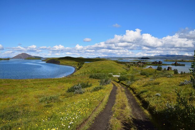 Scenic view of landscape against blue sky