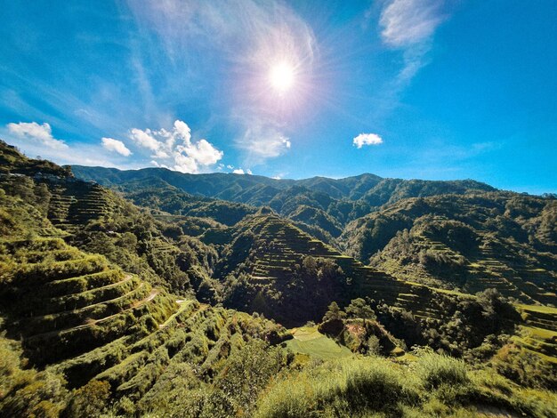 Scenic view of landscape against bright sun