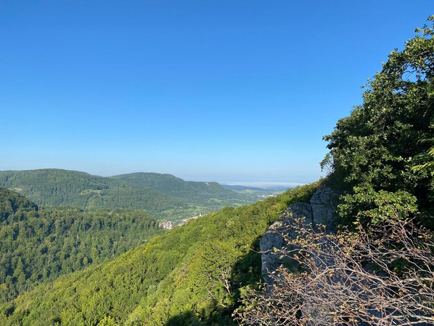 Scenic view of landscape against clear blue sky