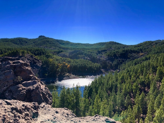 Scenic view of landscape against clear blue sky