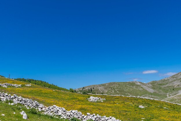 Scenic view of landscape against clear blue sky