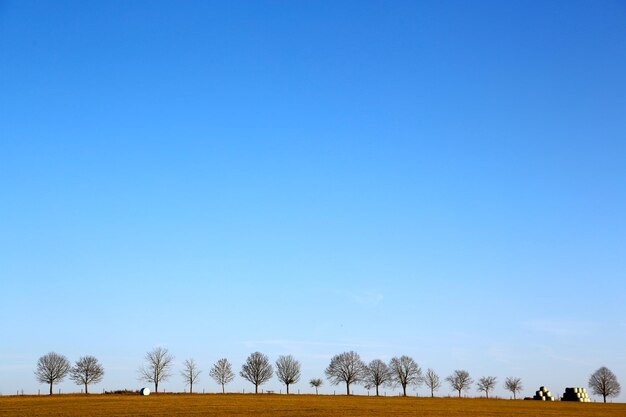 Scenic view of landscape against clear blue sky