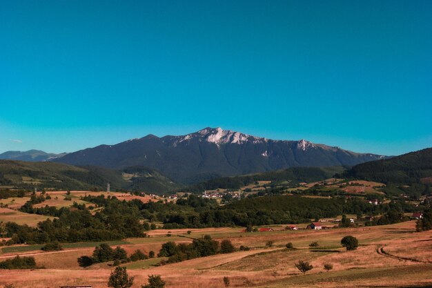 Scenic view of landscape against clear blue sky