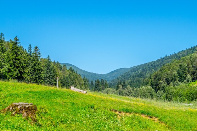 Scenic view of landscape against clear blue sky