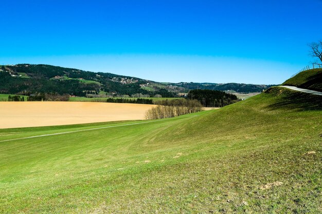 Scenic view of landscape against clear blue sky