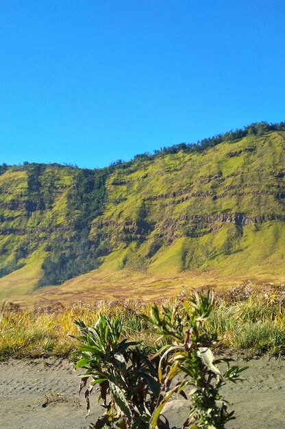 Scenic view of landscape against clear blue sky