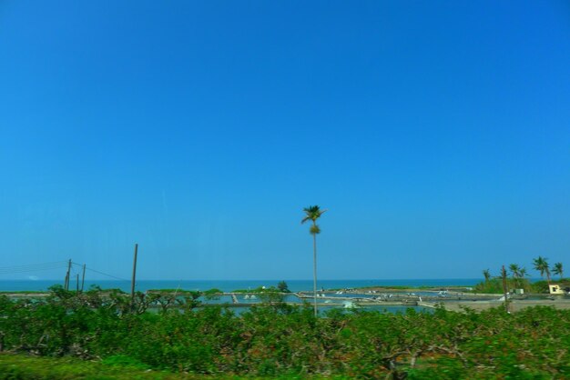 Scenic view of landscape against clear blue sky