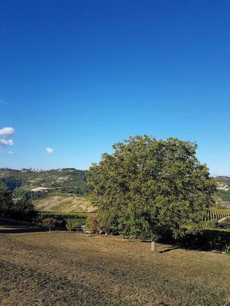 Scenic view of landscape against clear blue sky