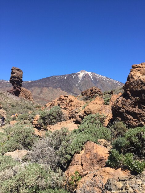 Scenic view of landscape against clear blue sky