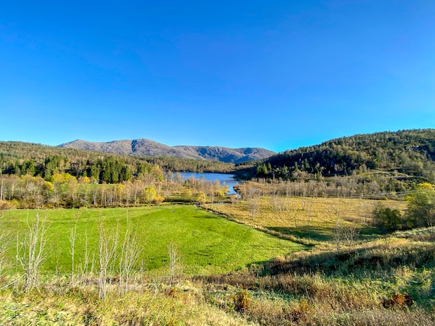 Scenic view of landscape against clear blue sky